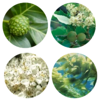 Moisture Retain Complex